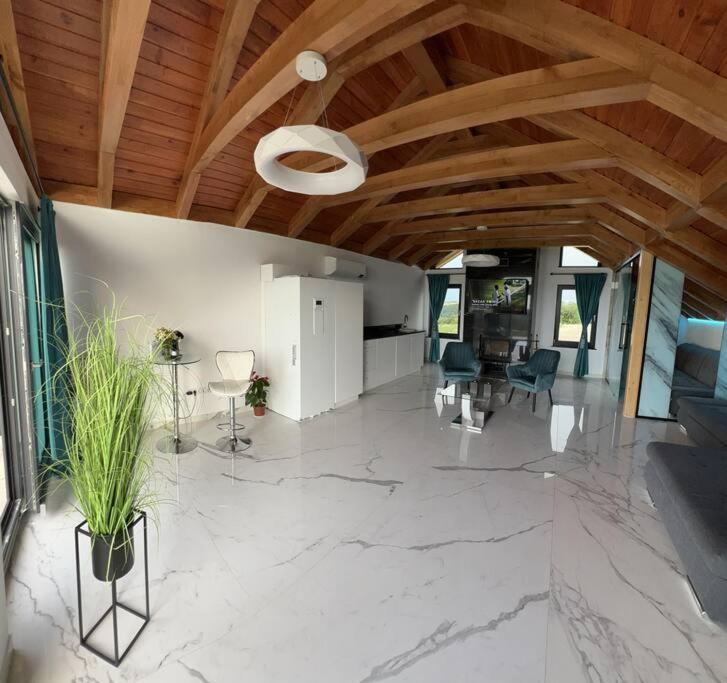 Casa Moderna In Sinteu - Intersectia Intre Modern Si Linistea Naturii Huta Voivozi 外观 照片